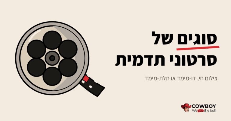 סוגים של סרטוני תדמית